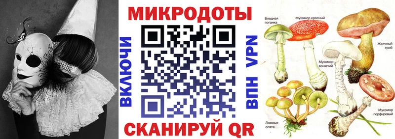 Галлюциногенные грибы MAGIC MUSHROOMS Назрань